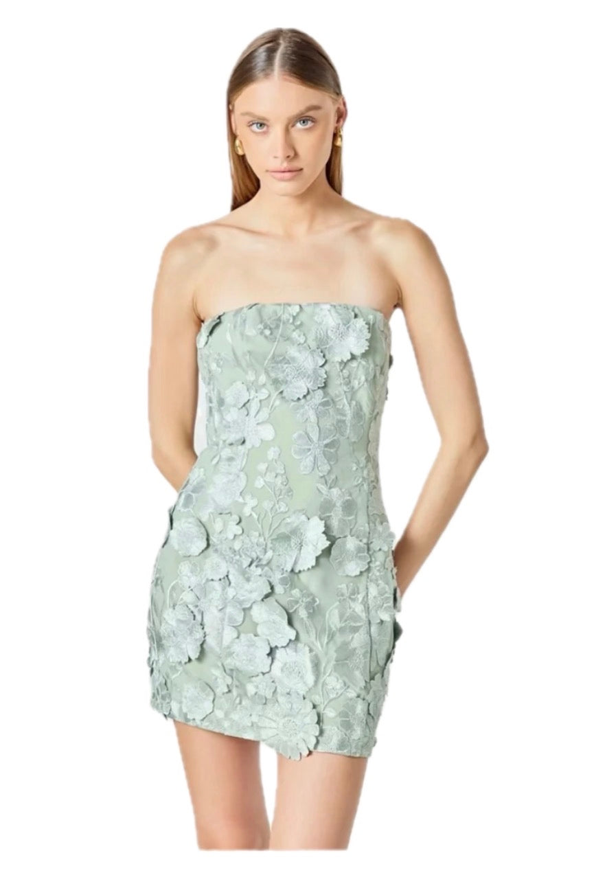 Floral embroidered Dress