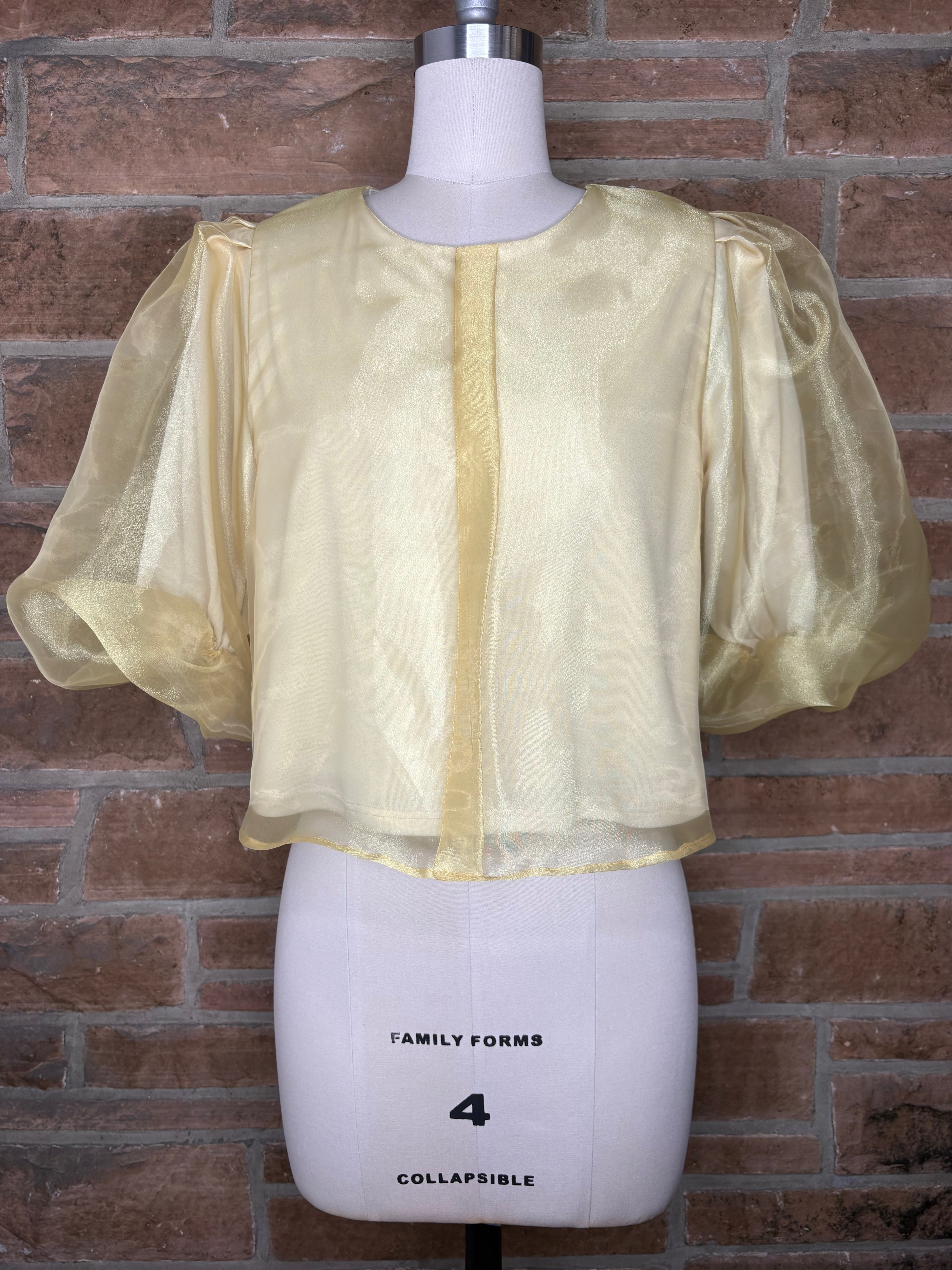 Mardi Gras Taffeta Gold Skirt and Blouse Set