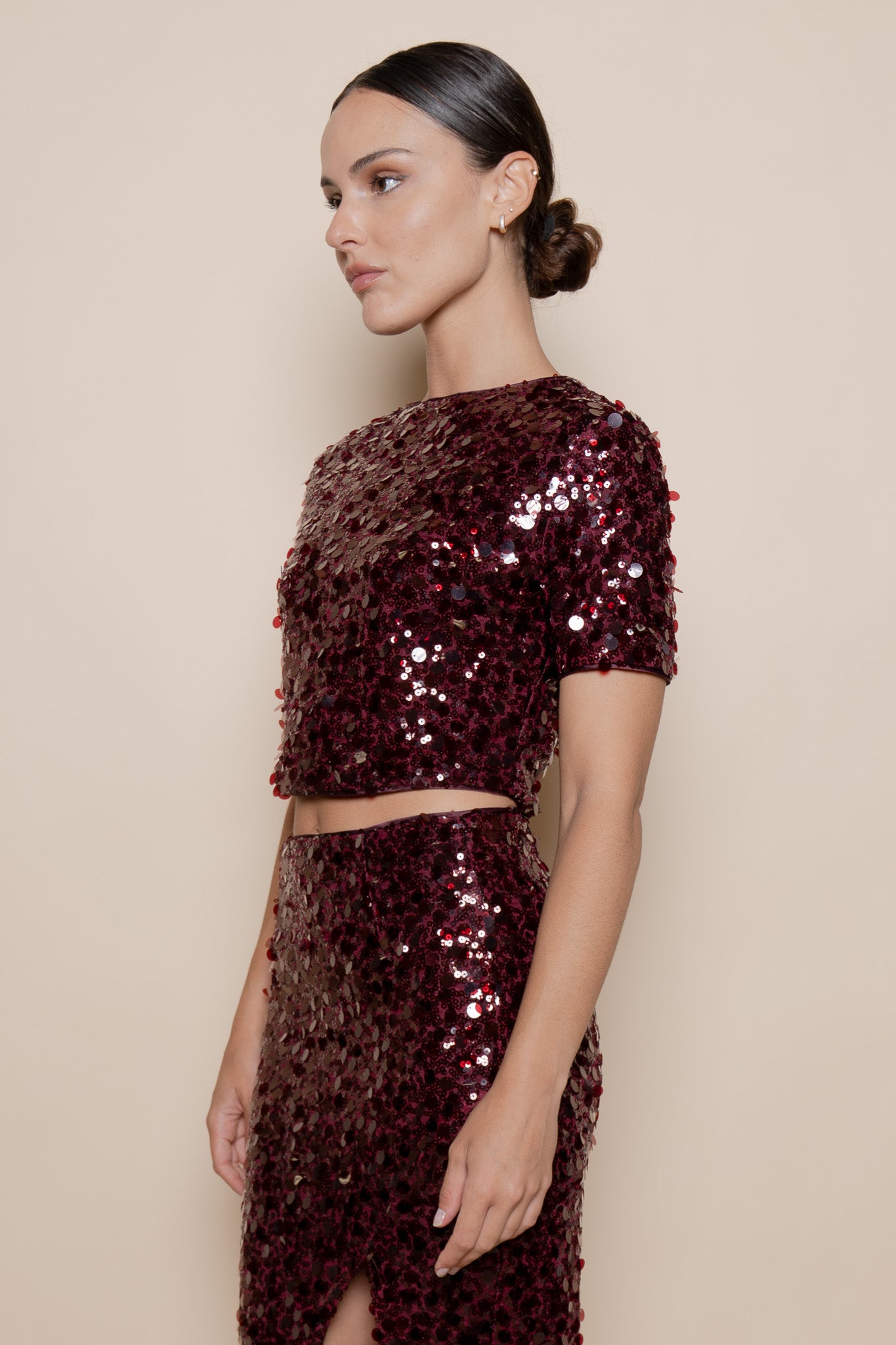 Burgundy Crop Tee and Skirt Set