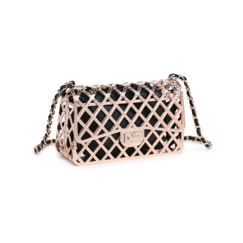 Clear Black and Gold Bag