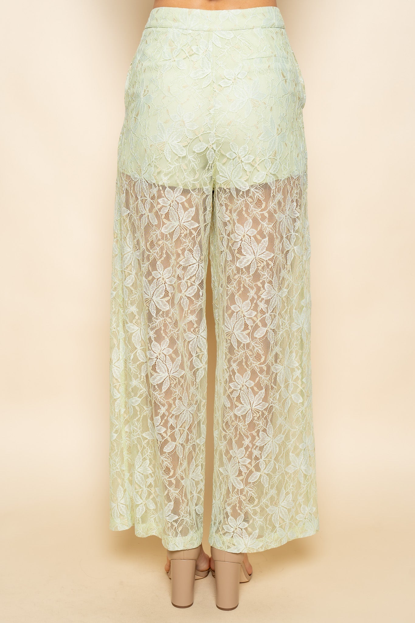 Lace Strapless Top and Sheer Pant Set