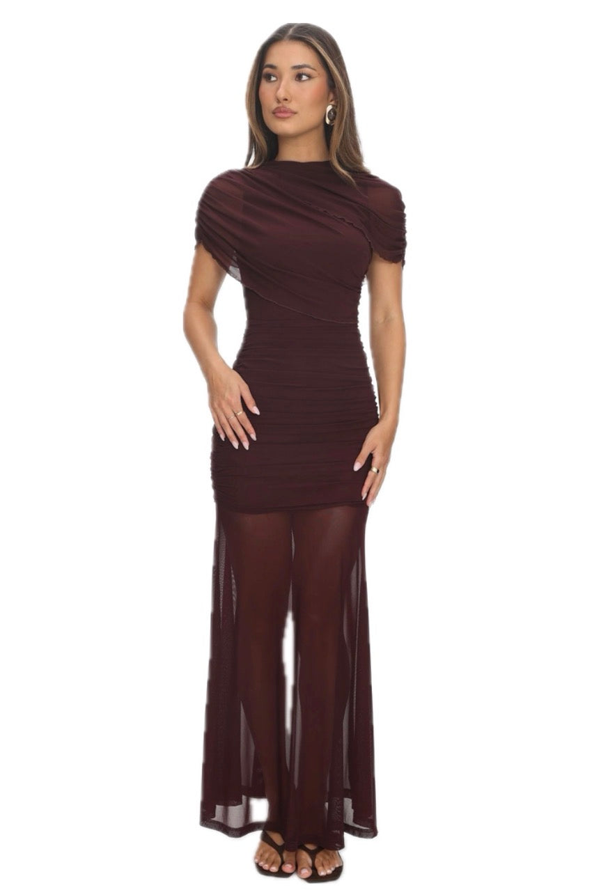 Brown Ruched Mesh Dress