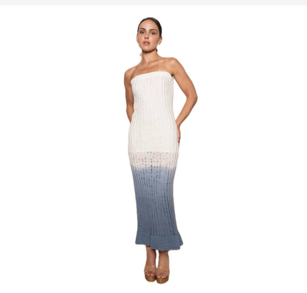 Ombre Maxi Dress