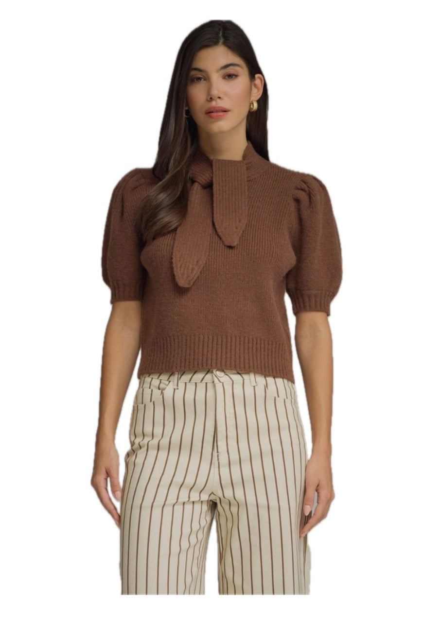 Solid Puff Sleeve Sweater