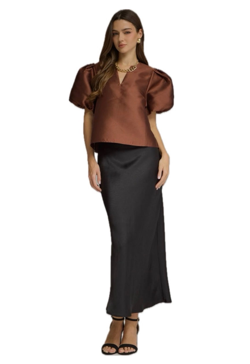 Solid Puff Sleeve Blouse