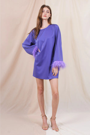 Feather Sleeve Mini Dress