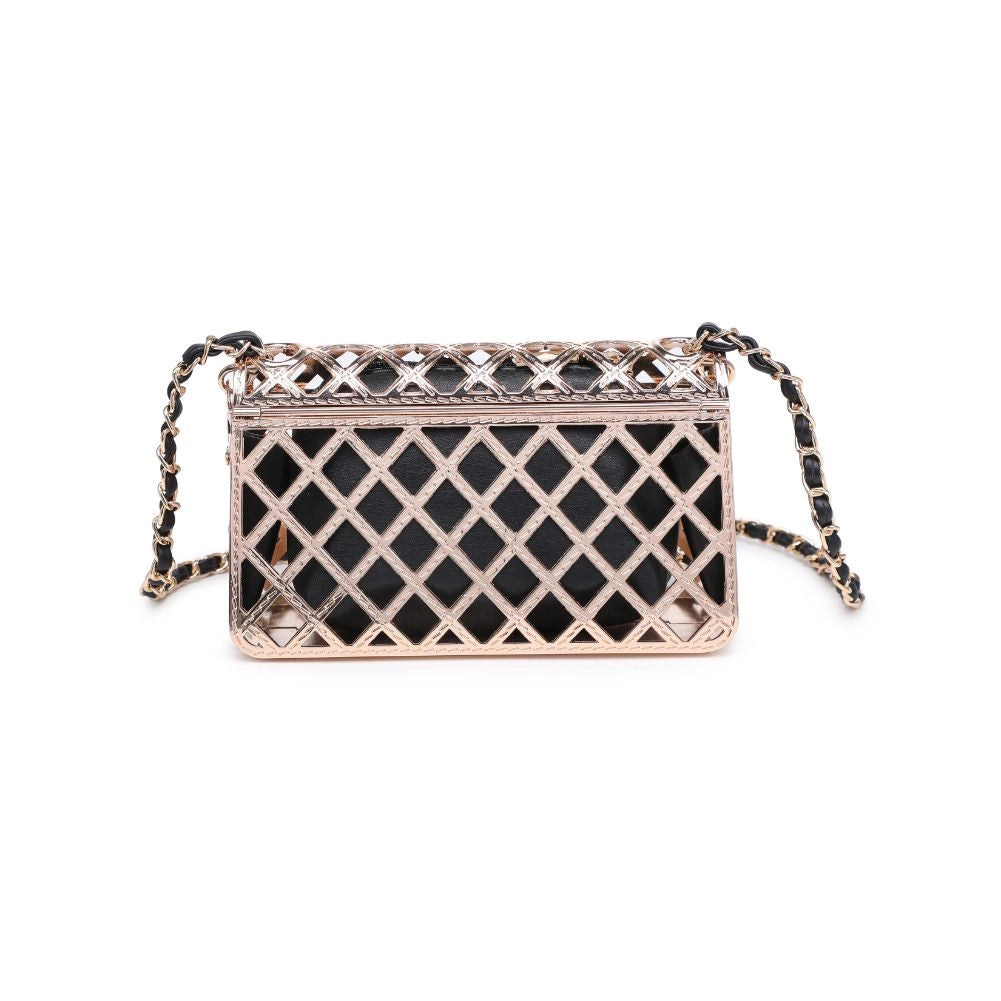 Clear Black and Gold Bag