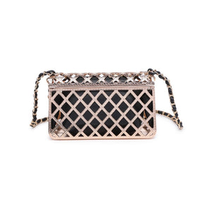 Clear Black and Gold Bag